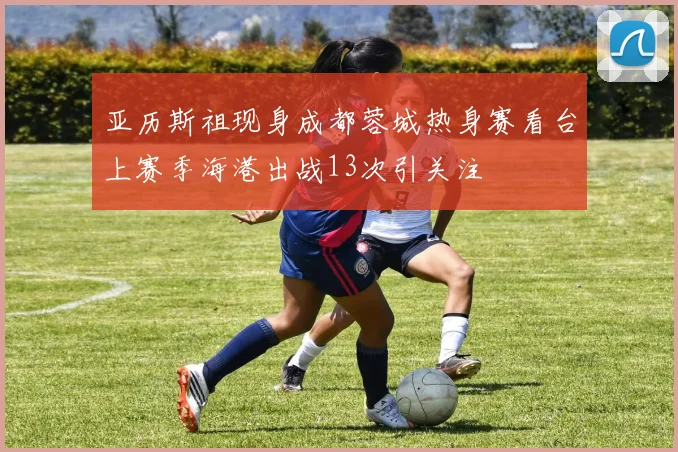 亚历斯祖现身成都蓉城热身赛看台上赛季海港出战13次引关注